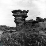 Brimham Rocks, Chick